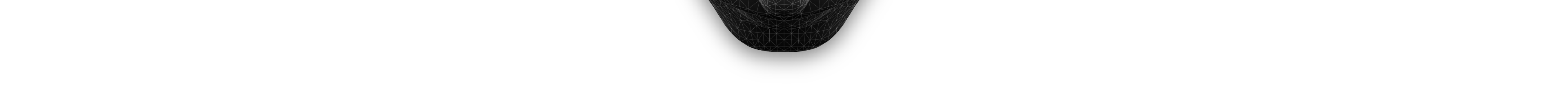 LPLM_10b